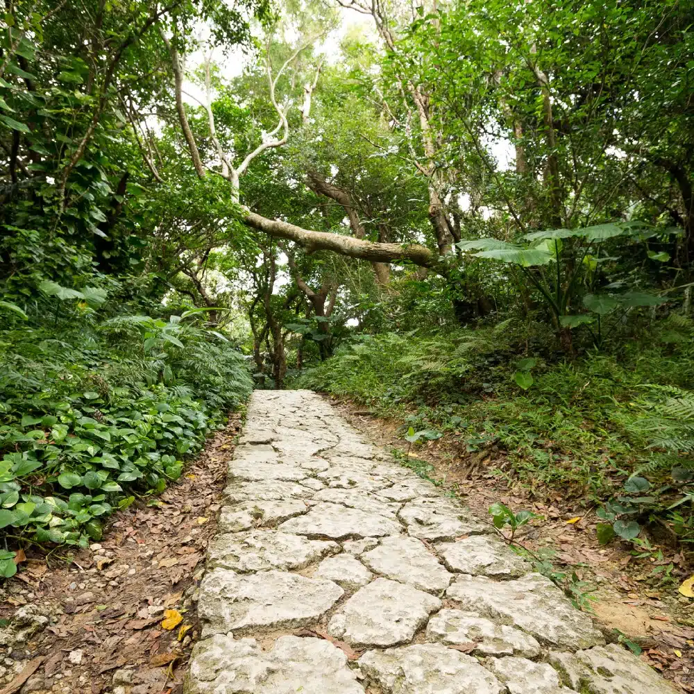 Voyage spirituel dans les archipels d’Okinawa et Ryukyu au Japon