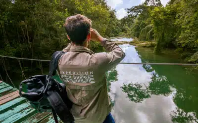 Consciously exploring the world