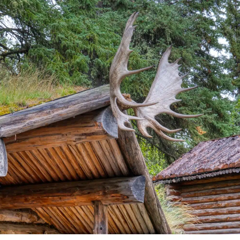 Voyage en Alaska à la rencontre des peuples autochtones Inuits, Aléoutes, Eyaks
