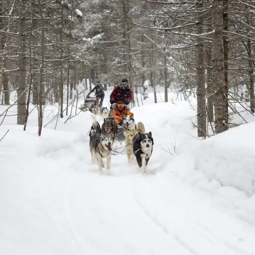 17_reperage_Charcot_Canada©PONANT-Julien Fabro