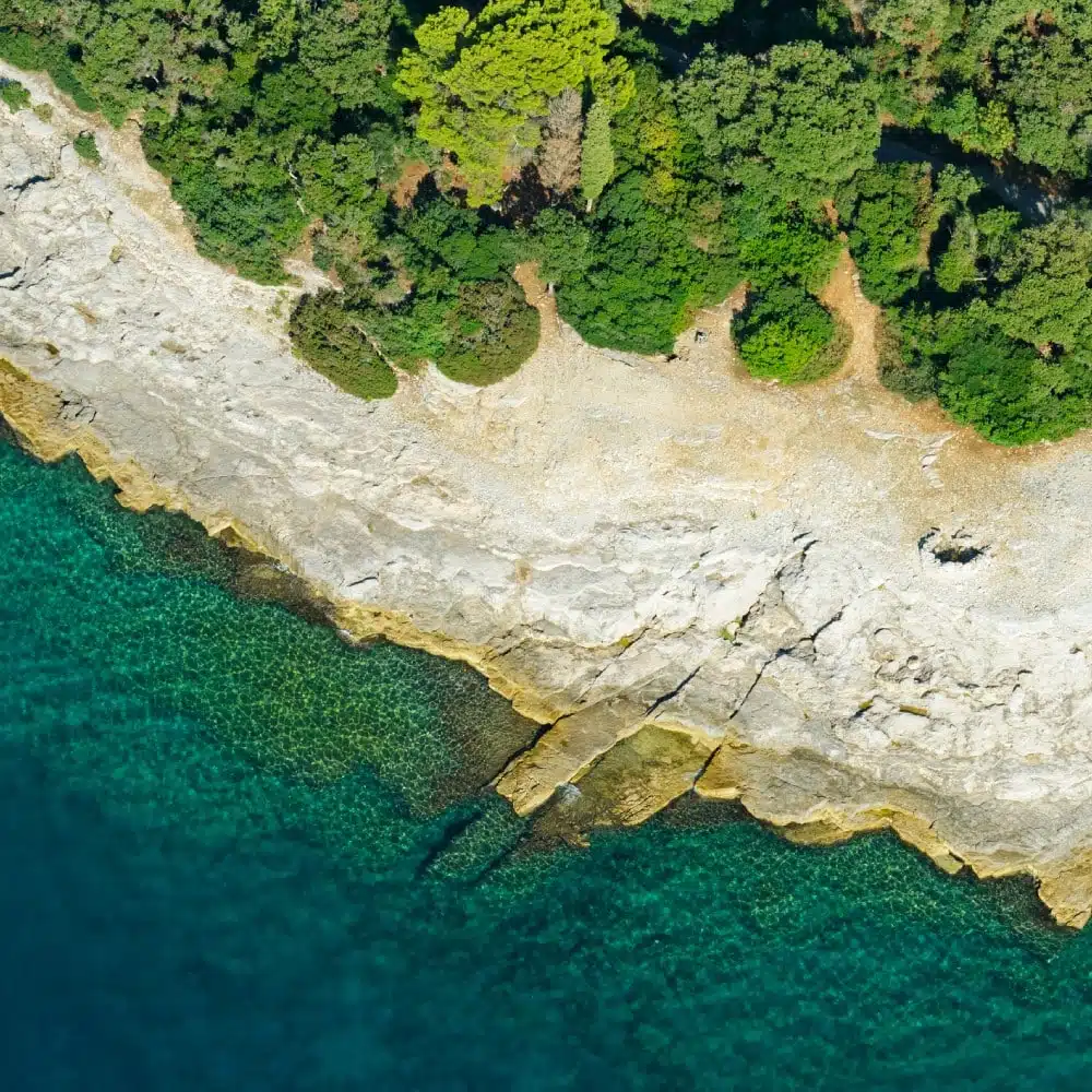 Parc national de Brijuni ou Brioni en Croatie