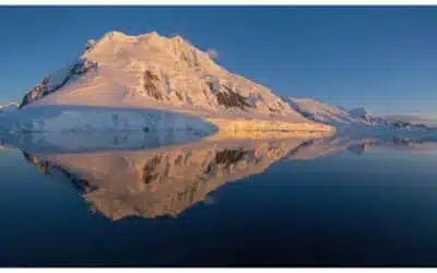Pourquoi partir en croisière de luxe en Antarctique ?