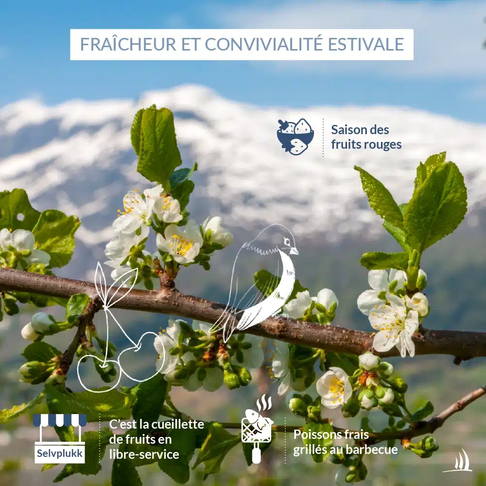 croisière en norvège : quand visiter les fjords ?