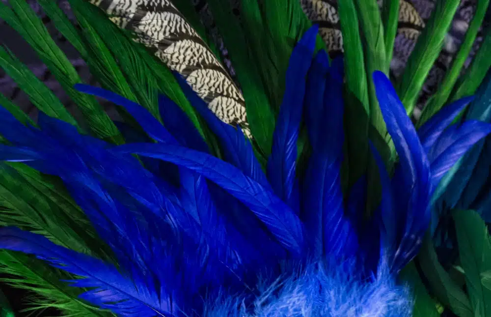 Carnaval