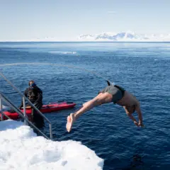 Polar Plunge