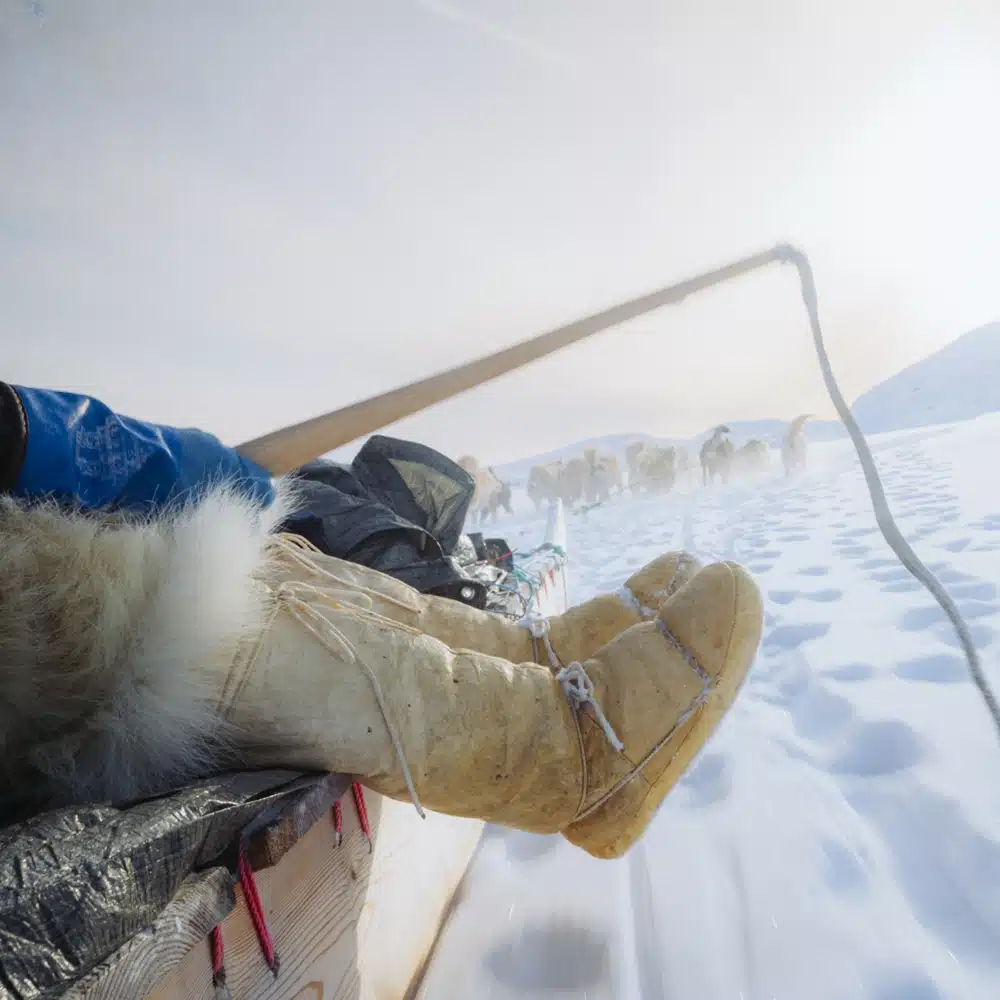 Sur un traineau à chiens – Voyage Kullorsuaq – Julien Fabro