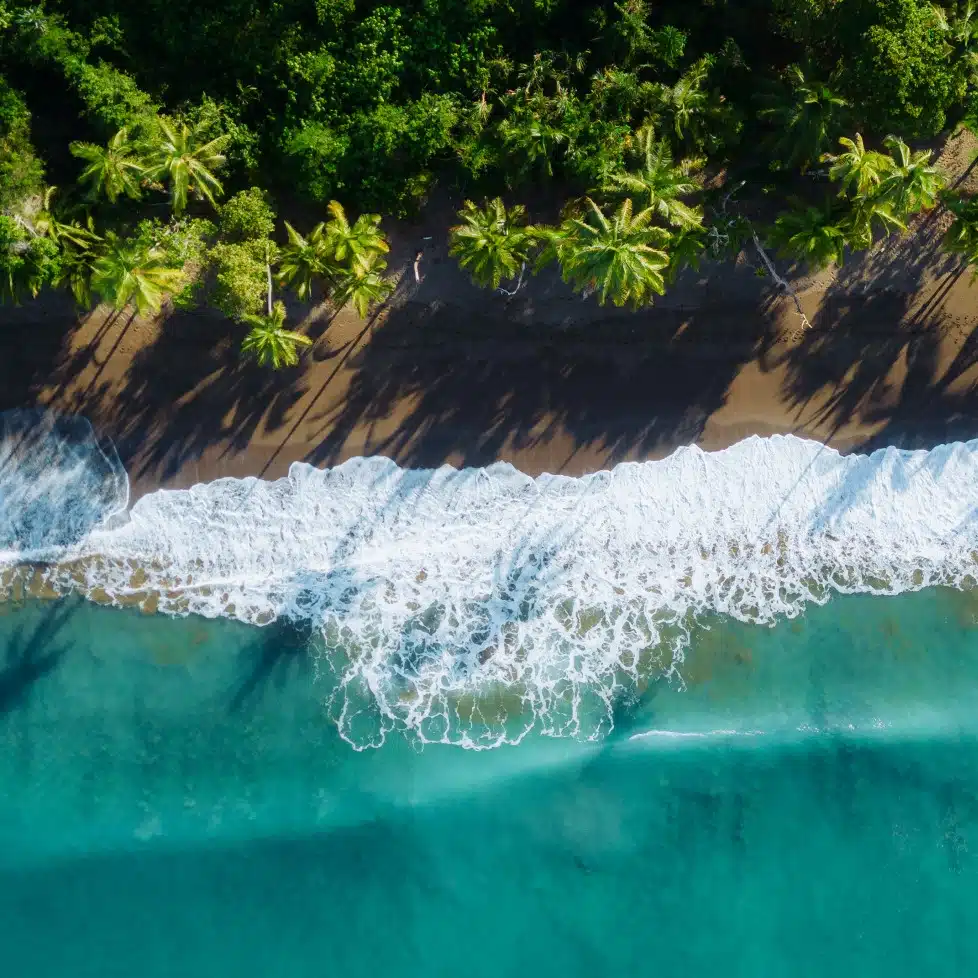 Tourisme : Nouvelle-Calédonie, vue rapprochée sur le lagon turquoise avec l'île du pin en arrière plan