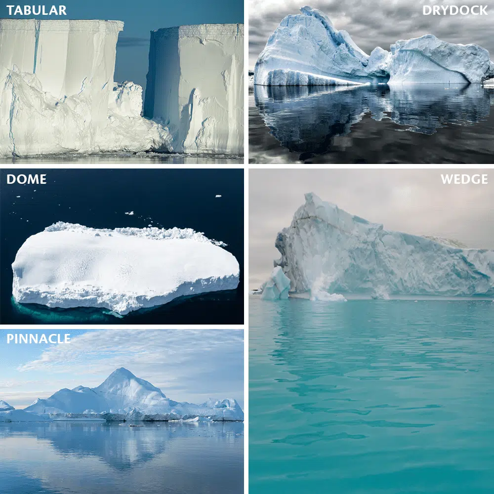 arctic-seals_813_Treaty-Countries_1000x1000