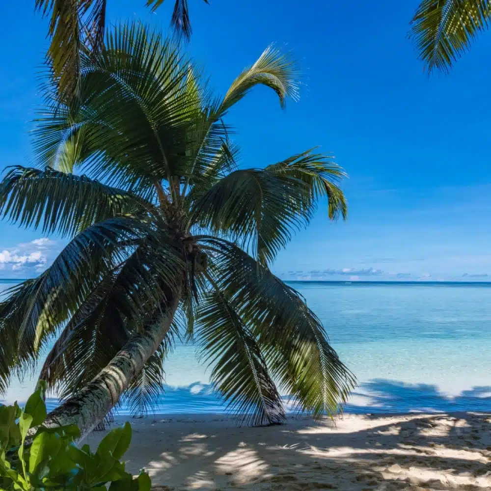 Croisière aux Seychelles avec Jakawan Hoareau, chef d’expédition ponant