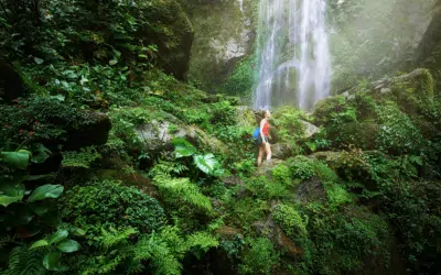 Join PONANT and The Explorers Club on a New Caribbean Expedition