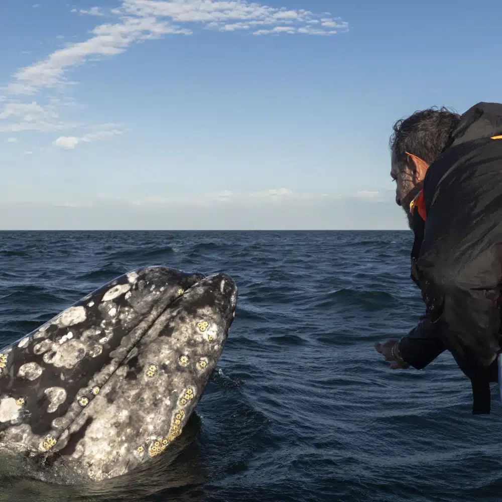 Cabo Pulmo en Basse-Californie