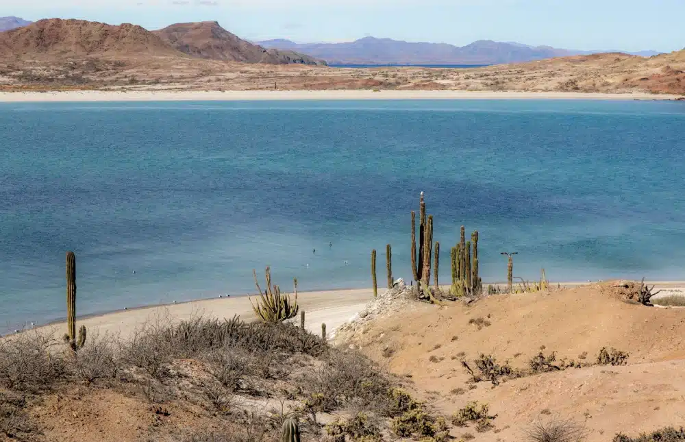 Bahia Los Angeles en Basse-Californie