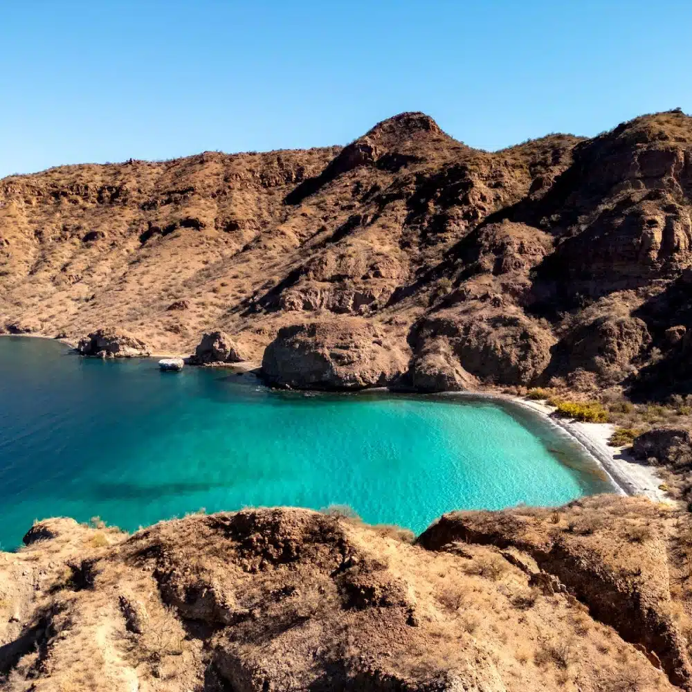 Cabo Pulmo en Basse-Californie