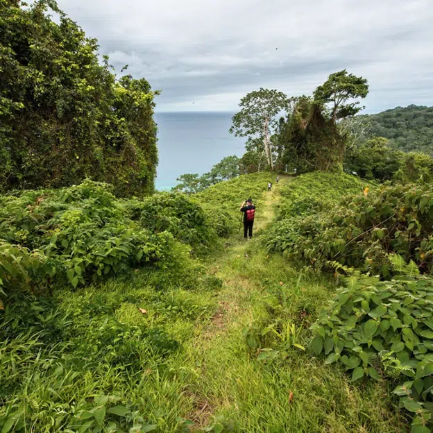 CostaRica_Panama_Blog_Pic2_Jungle
