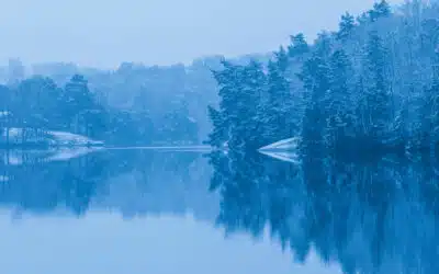 Les 7 meilleurs polars scandinaves