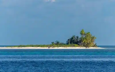 Volunteering in the Seychelles