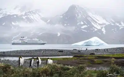En route vers les îles subantarctiques