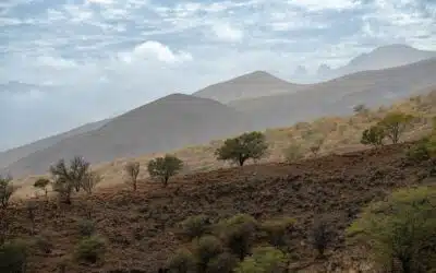 The Canary Islands, Madeira and Cape Verde