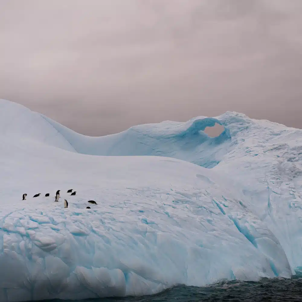 Navigation_Antarctique_Iceberg dérivant©Claude-Olivier Marti (1) iceberg Antarctique