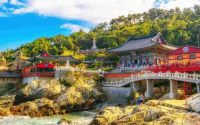 East Asia Like You’ve Never Experienced It
