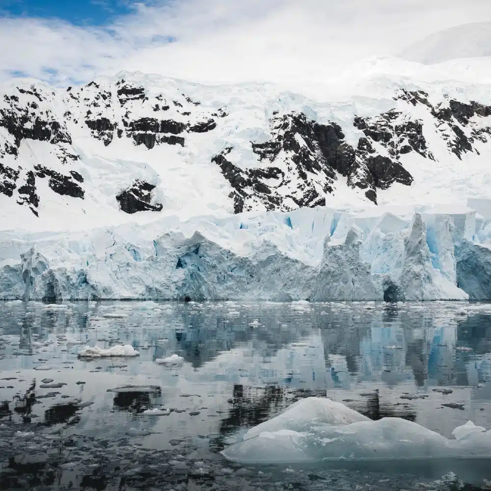 iles-subantarctiques Paradis Bay Antarctique