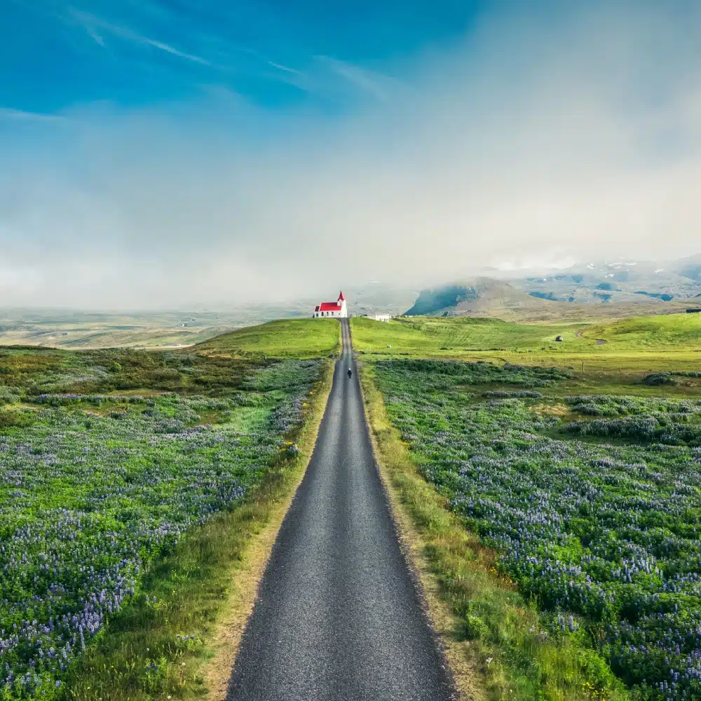 Beautiful holy Ingjaldsholskirkja church with foggy on hill, lupine wildflower blooming and road straight on summer at Snaefellsnes peninsula, Iceland