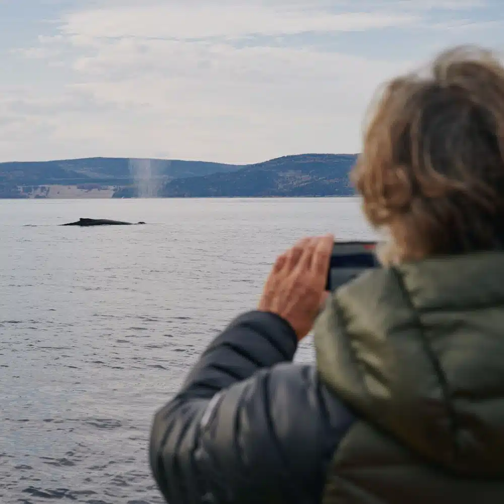 Passagère prenant en photo une baleine à Tadoussac au Canada
