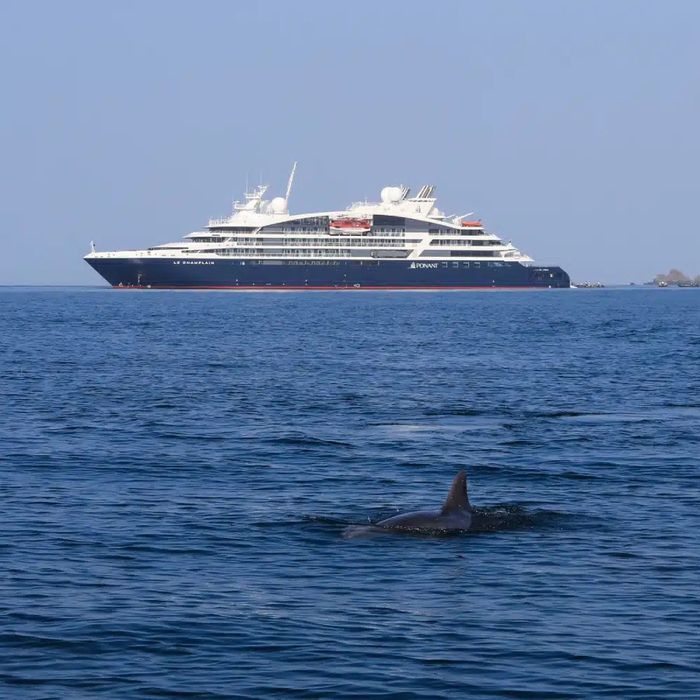 Navire PONANT sur l’eau avec un dauphin au premier plan