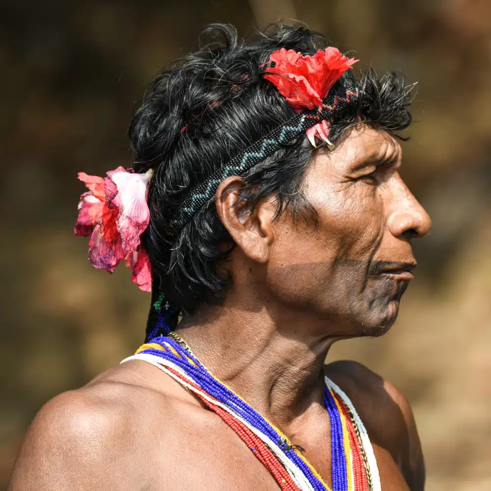 image-une Portrait de profil d’un homme Emberá, Darien, Panama