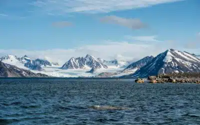 Voyager en Norvège, entre fjords, aurores boréales et Grand Nord