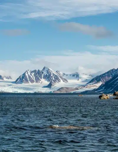 Voyager en Norvège, entre fjords, aurores boréales et Grand Nord