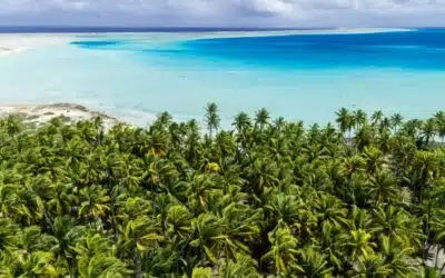 Repérage en Polynésie