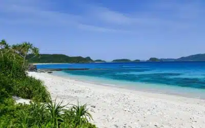 Voyage cœur des îles subtropicales du Japon