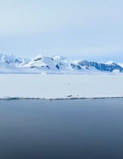 Voyager en Antarctique : explorer les rivages du Continent Blanc
