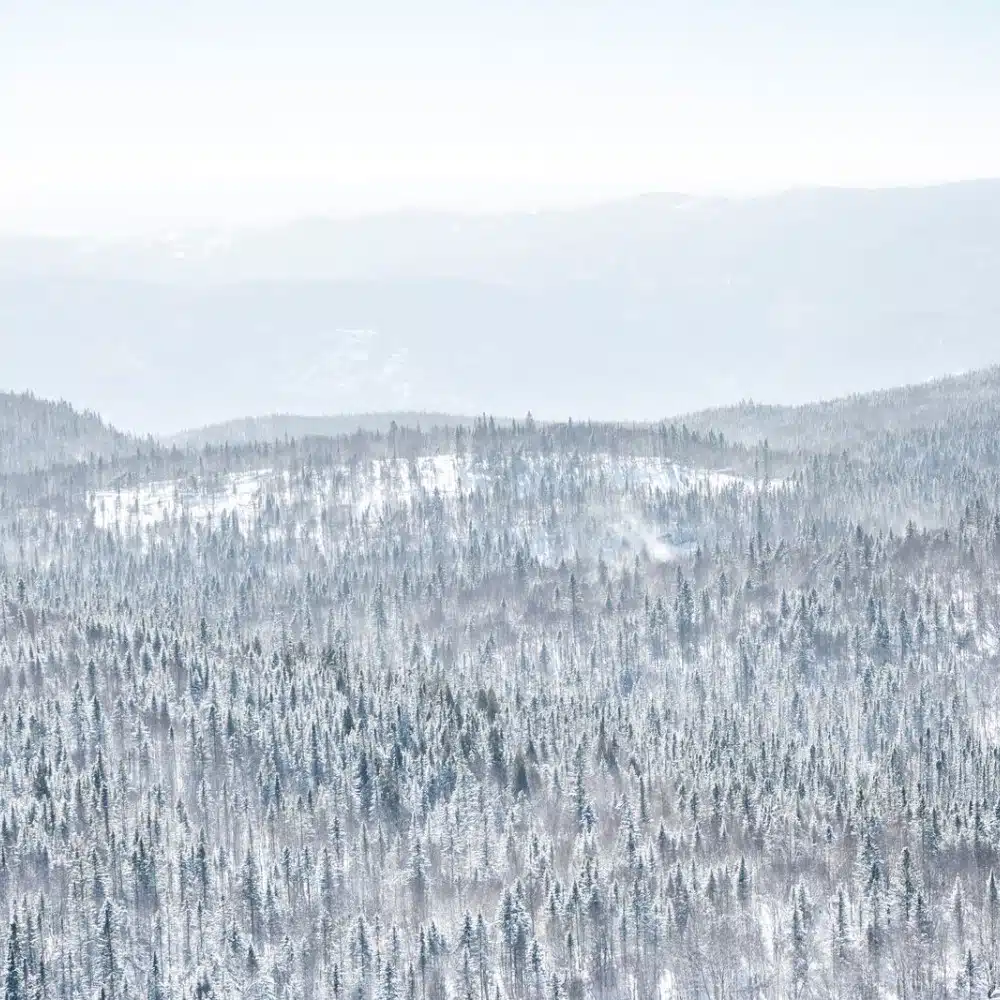 journey-canada Snow-covered forest, Saguenay Fjord, Canada