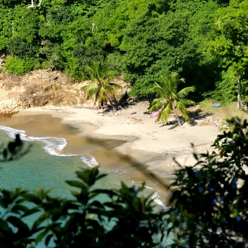 two-days-saintes A bird’s-eye view of the small beach at Anse Crawen, surrounded by tropical vegetation