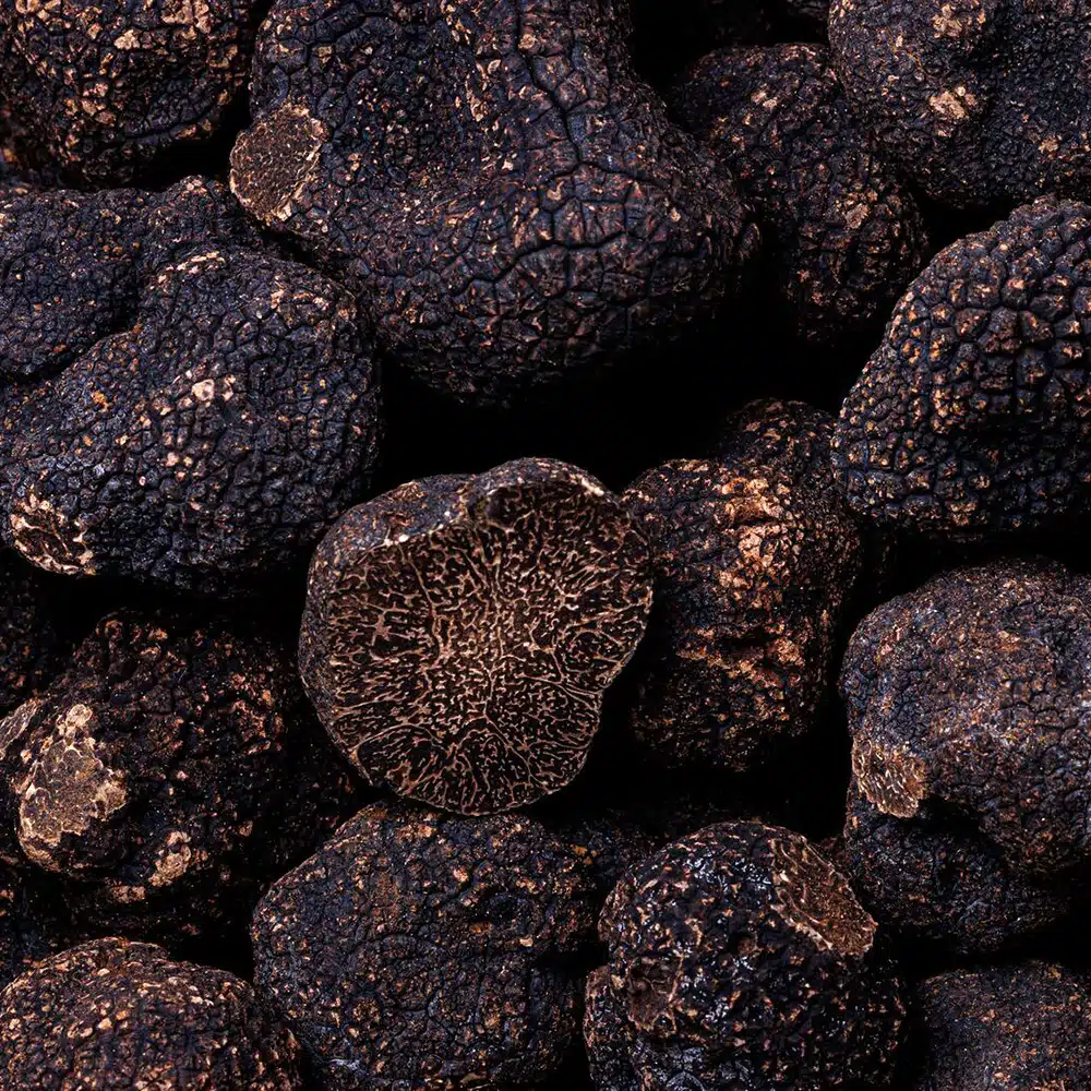 Low-Resolution-SHOOTING_DUCASSE-CONSEIL_0326©PONANT-PHILIPPE-VAURES-SANTAMARIA_AD-26 La truffe noire, star de la haute gastronomie