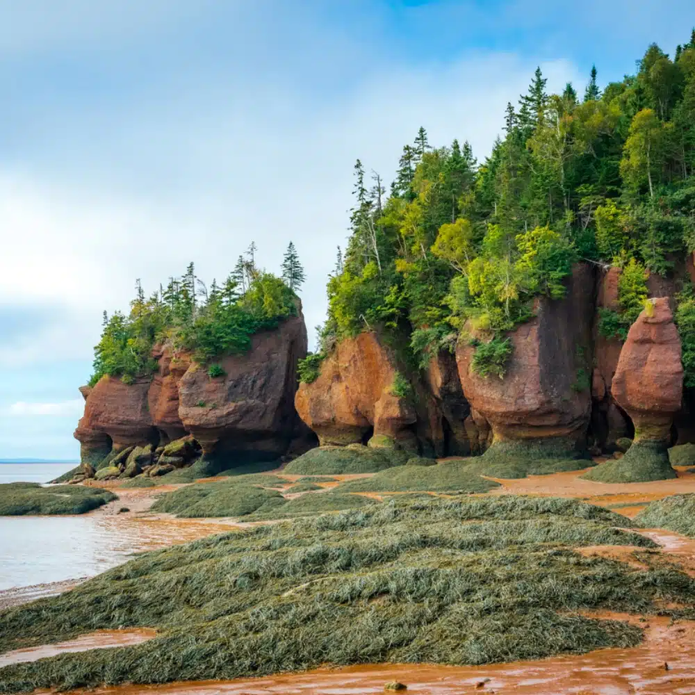 quand-partir-canada Formations rocheuses des Pots-de-fleurs dans la baie de Fundy au Nouveau-Brunswick
